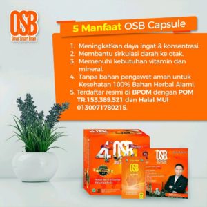 manfaat osb